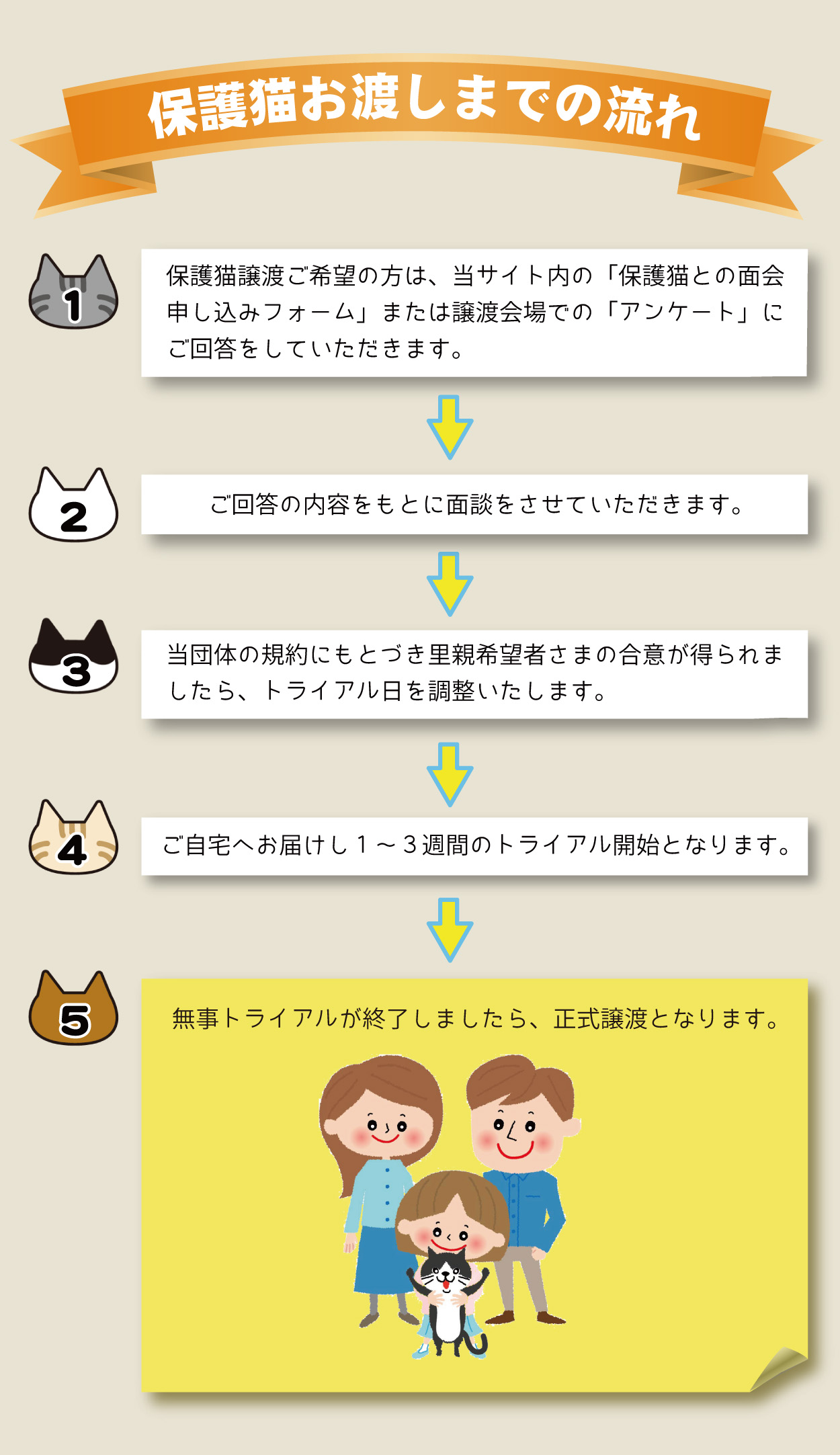君津、保護猫